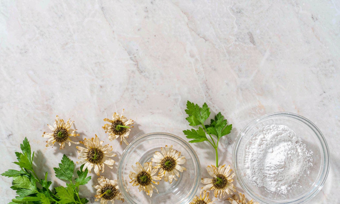 Ingredient flat lay of chamomile flowers, parsley and white mineral powder on marble