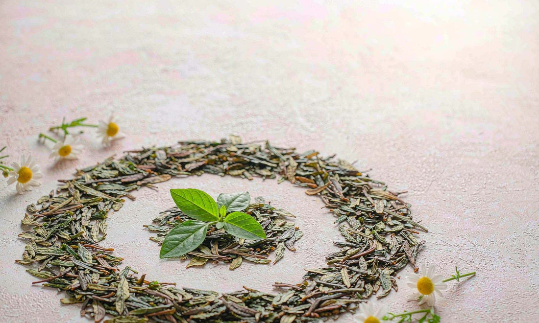 Loose green tea leaves and chamomile blossoms arranged in a circle on a pale stone surface
