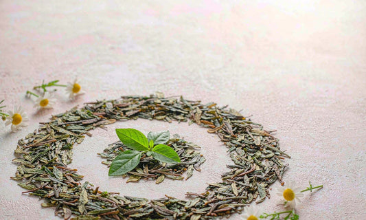 Loose green tea leaves and chamomile blossoms arranged in a circle on a pale stone surface