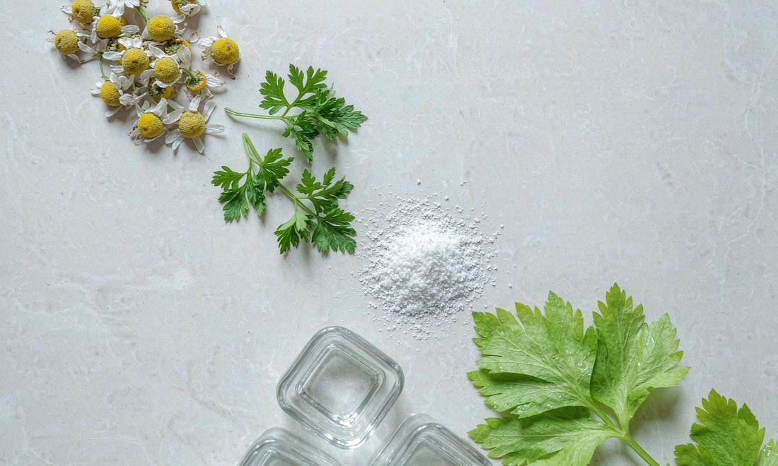 Ingredient flat lay of chamomile, parsley, celery leaves and white powder on marble