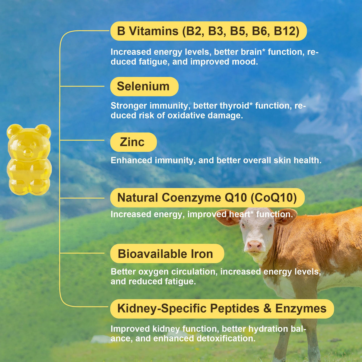 Beef Kidney DAO supplement facts panel listing ingredients and serving size
